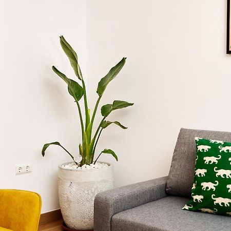 Que Bueno Que Viniste Caceres Apartment ภายนอก รูปภาพ