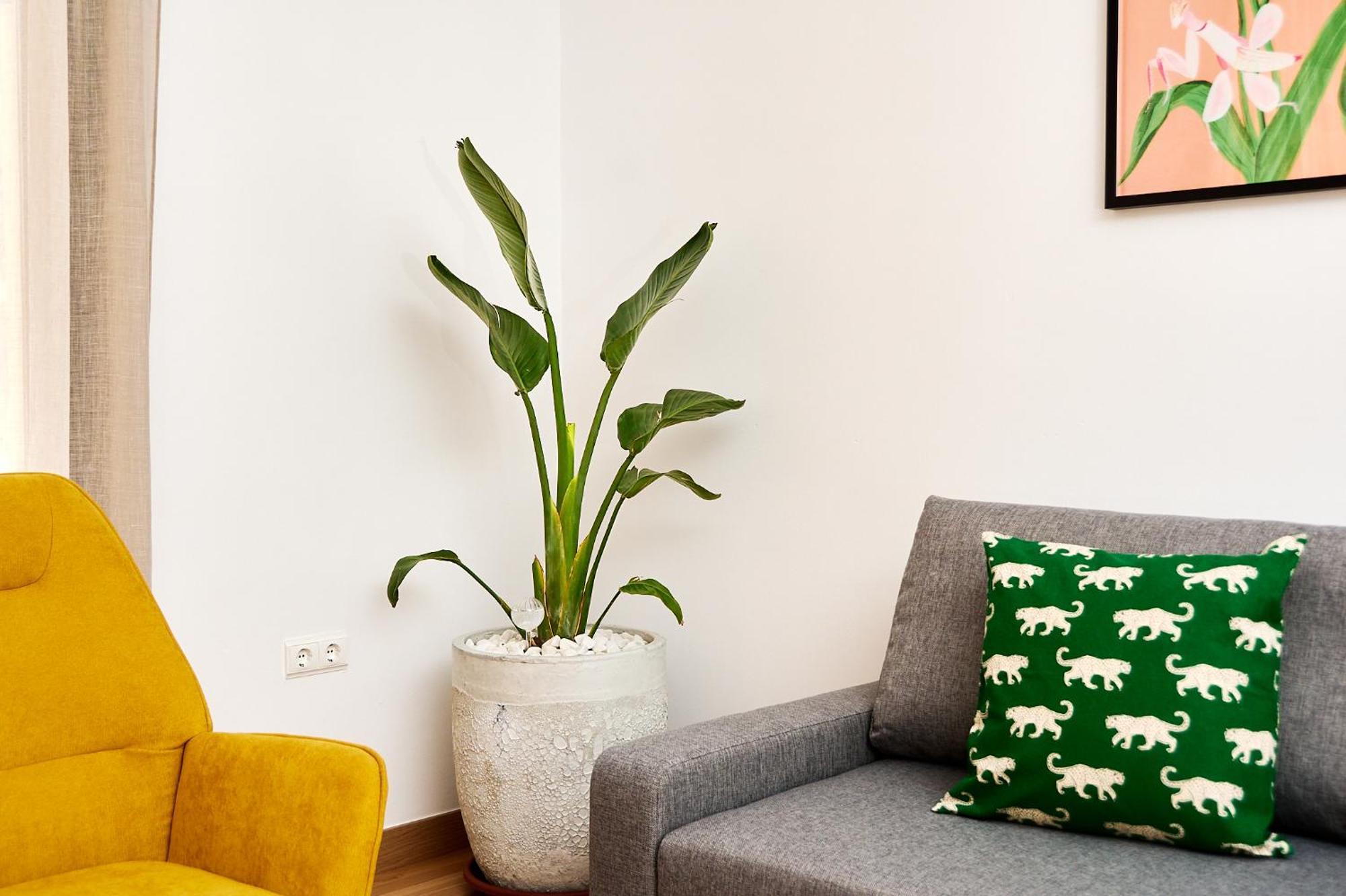 Que Bueno Que Viniste Caceres Apartment ภายนอก รูปภาพ